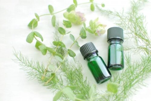 Two-small-green-glass-bottles-containing-pure-essential-oils-surrounded-by-fresh-green-herbs-and-botanicals-illustrating-effective-natural-remedies-and-prevention-methods-for-cockroaches-and-household-insects