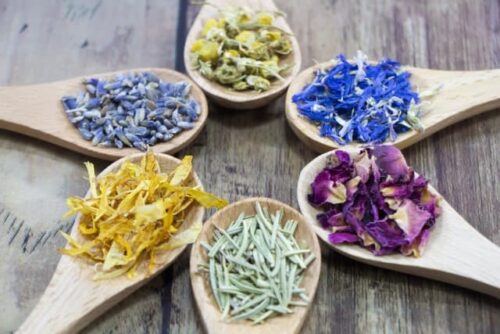 Top-down-view-of-six-wooden-spoons-arranged-in-a-circle-each-holding-a-different-type-of-dried-herb-and-flower-petal-on-a-wooden-background-showcasing-natural-options-for-cockroach-repellent